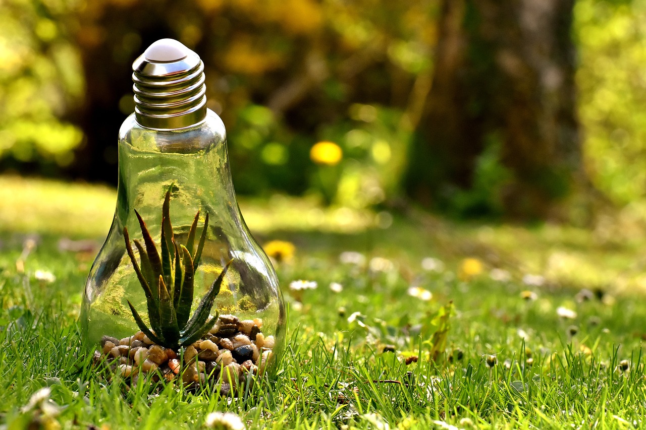 environmental protection, nature, lightbulb-3341942.jpg